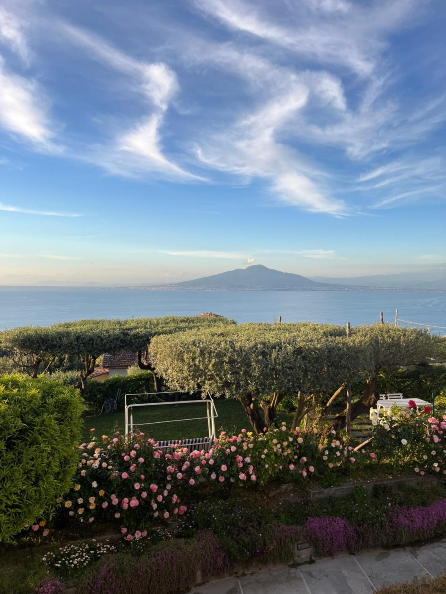 Готель Sorrento Garden Екстер'єр фото