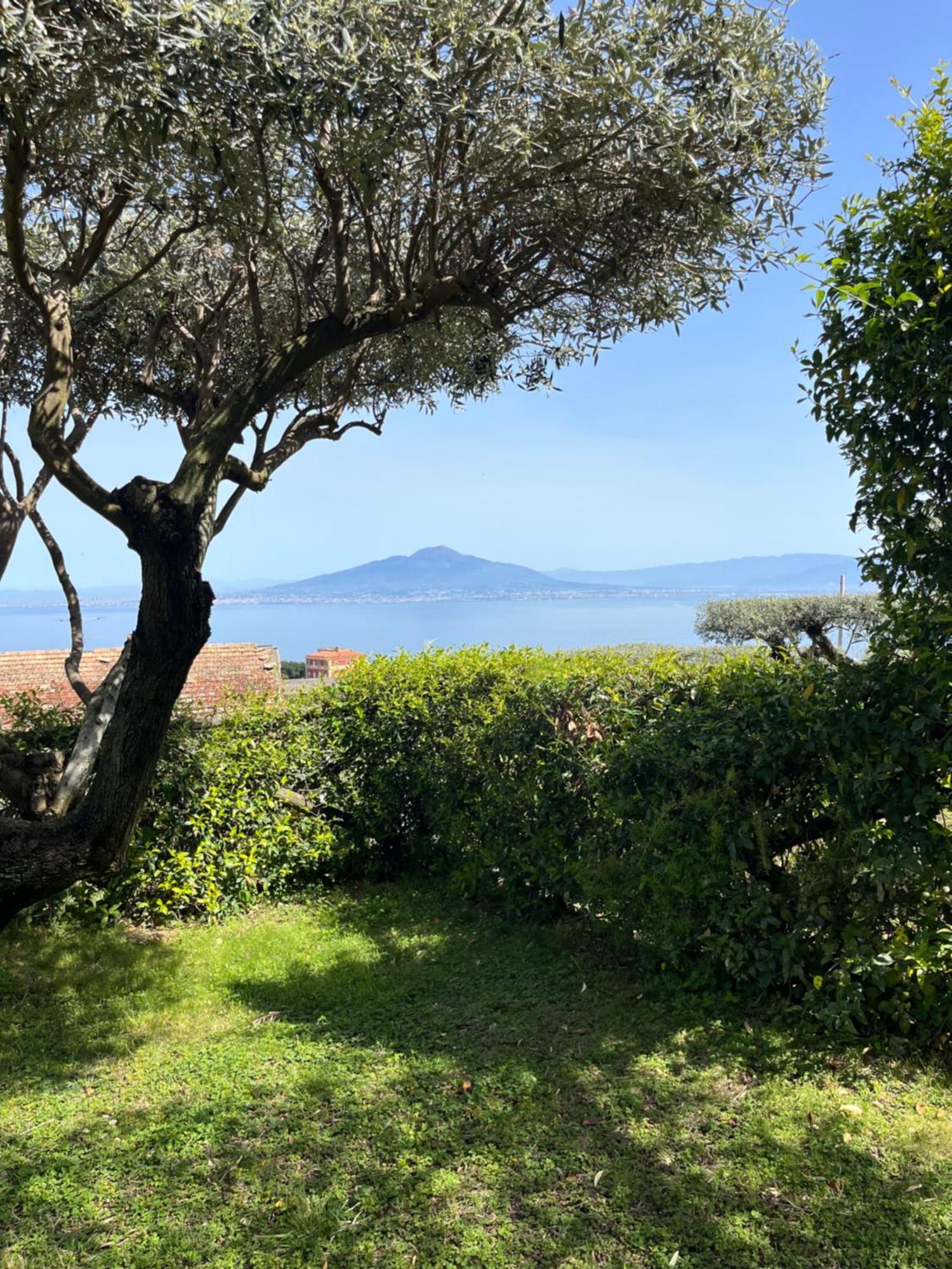 Готель Sorrento Garden Екстер'єр фото