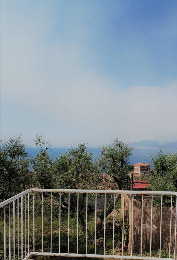 Готель Sorrento Garden Екстер'єр фото