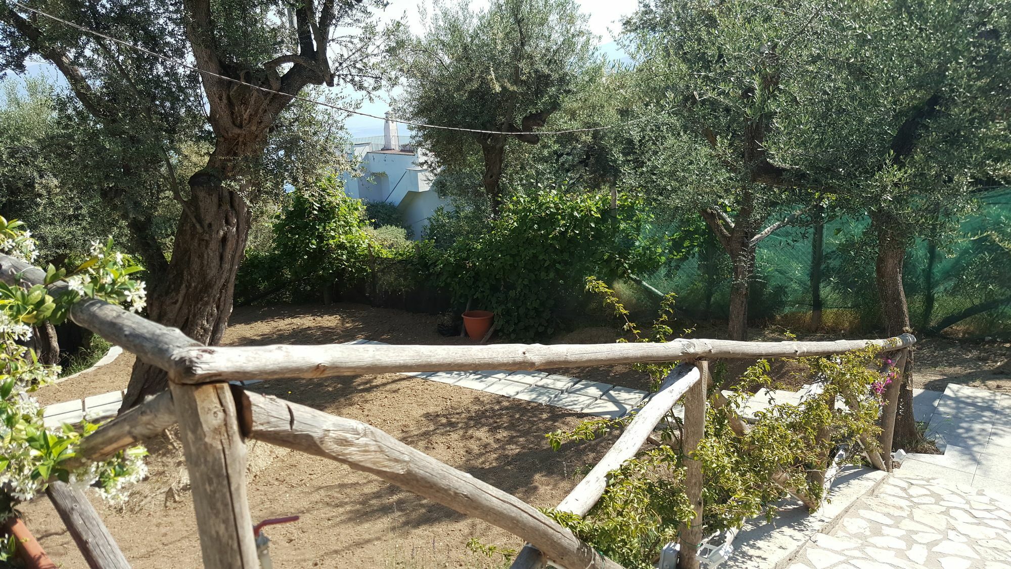 Готель Sorrento Garden Екстер'єр фото