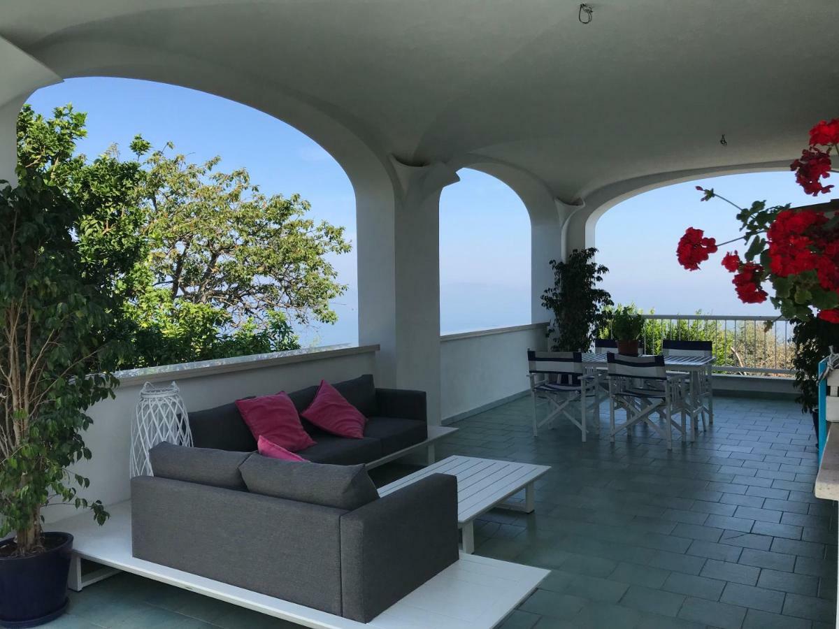 Готель Sorrento Garden Екстер'єр фото