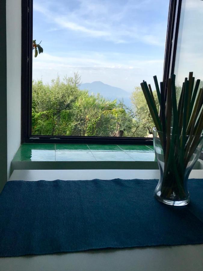 Готель Sorrento Garden Екстер'єр фото