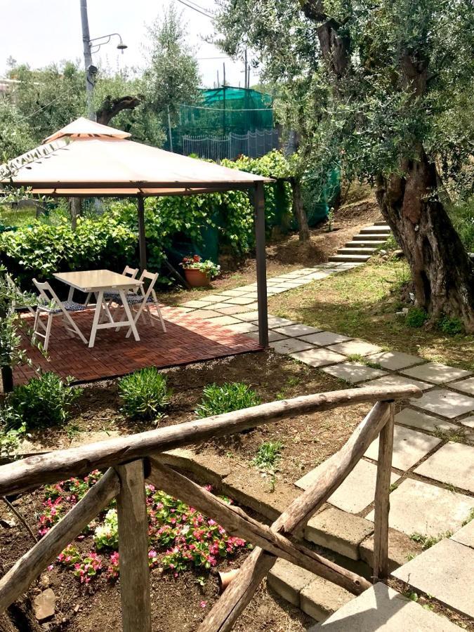 Готель Sorrento Garden Екстер'єр фото